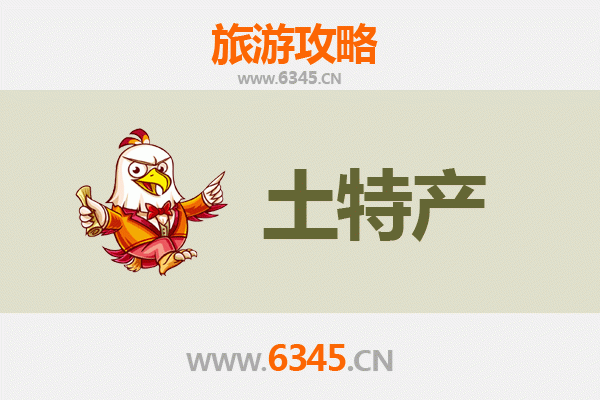 昌江昌化镇旅游必带土特产推荐清单